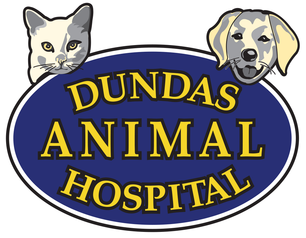 Foster Veterinary Services Waterdown Ontario